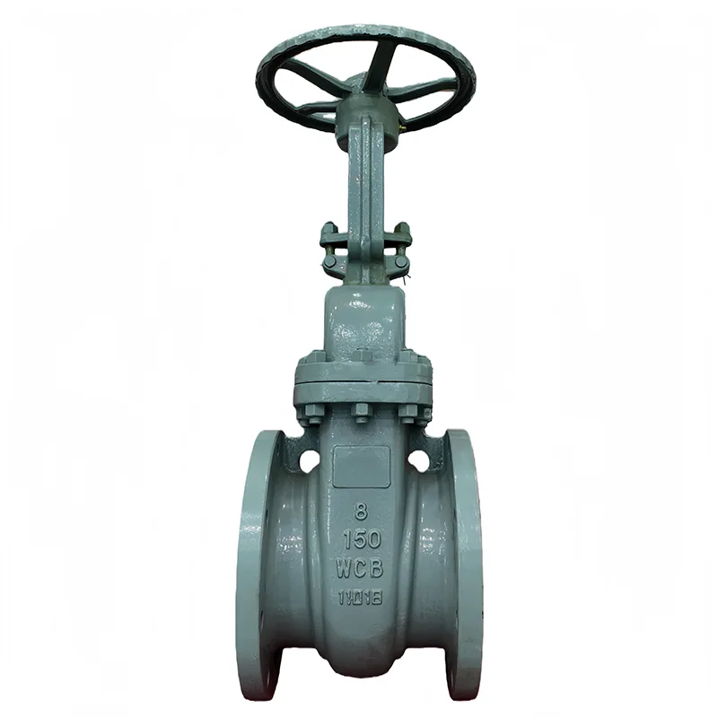 Baja Karbon ANSI Flange Gate Valve