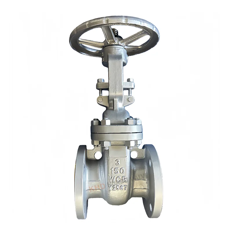 Baja Karbon ANSI Gate Valve