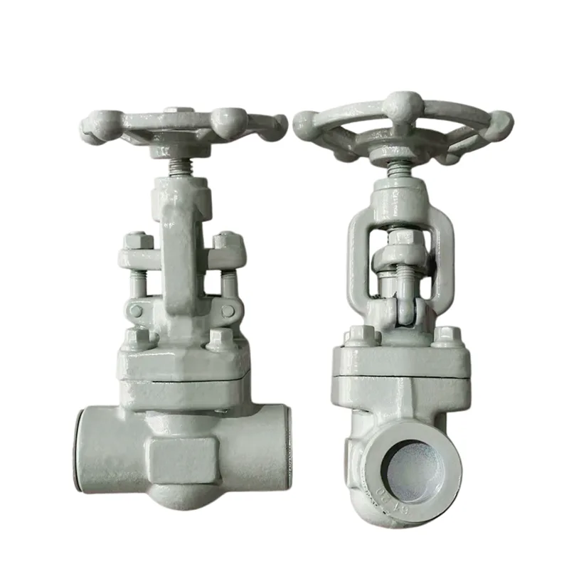 Katup Gerbang Forged Socket-gandheng