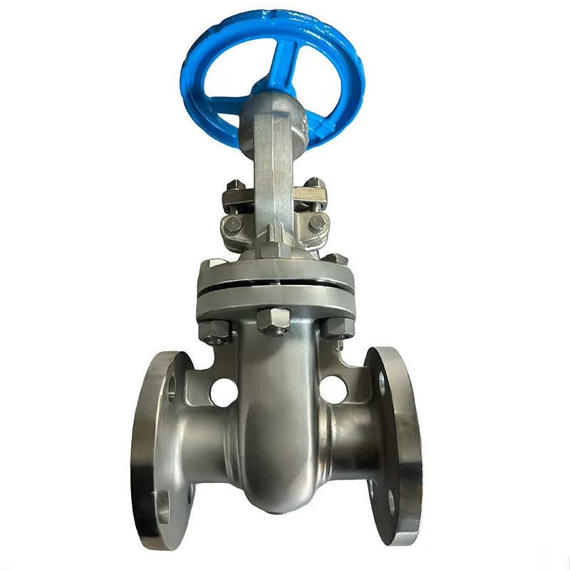 Stainless Steel API Flange Gate Valve