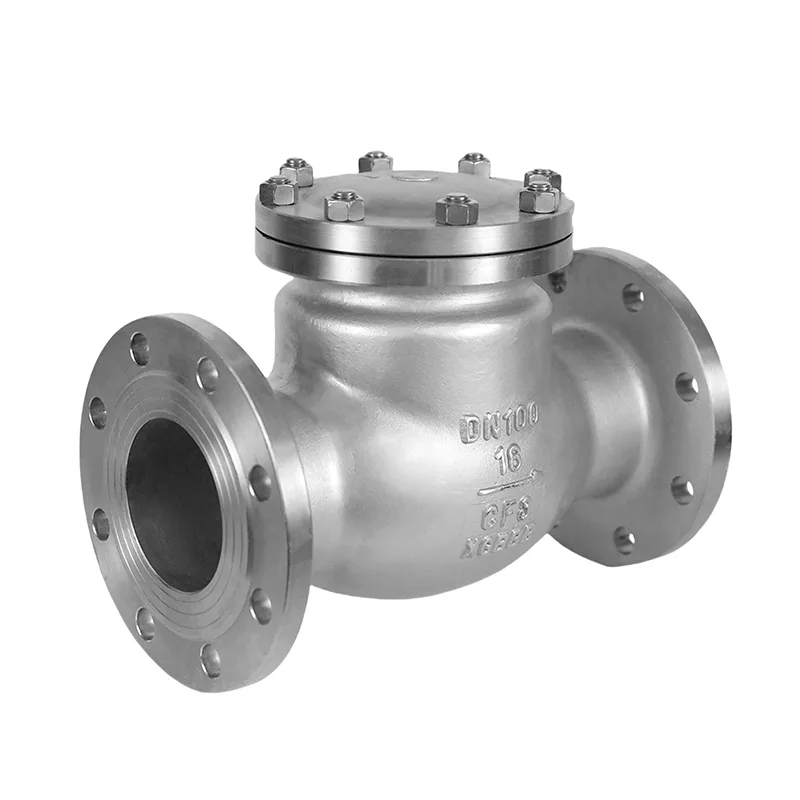 Katup Periksa Standar GB Stainless Steel